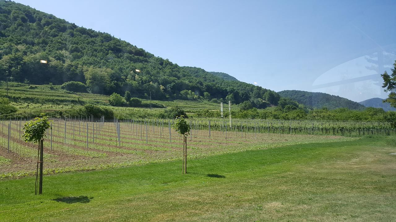 Gasthof Zur Wachau Hofarnsdorf Экстерьер фото
